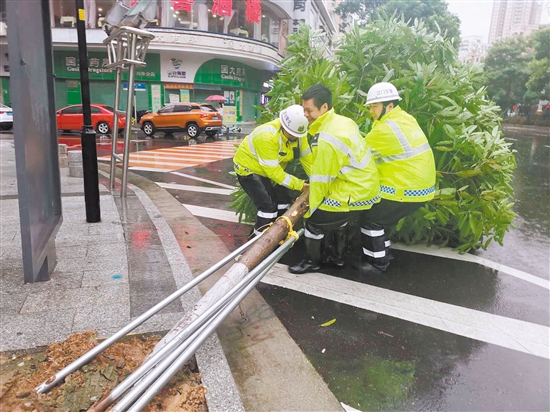 阳江喜迎台风过境，共筑平安家园