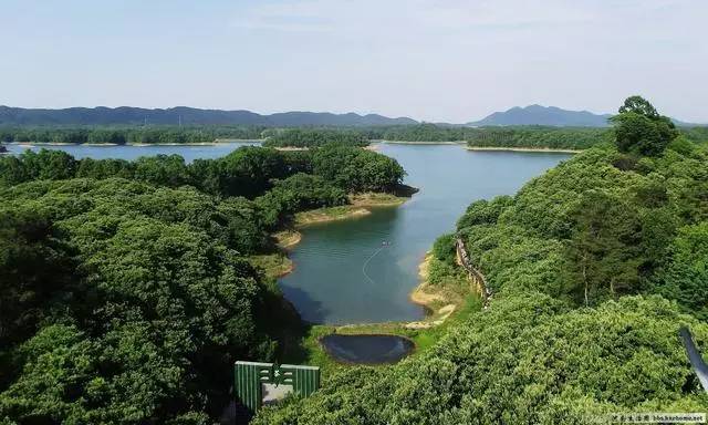 信阳出山店水库焕新美景，共赏生态新篇章