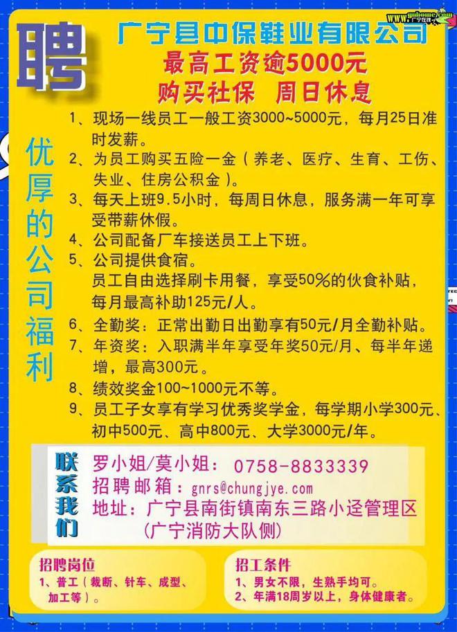 英德小虫网诚邀英才，共创美好未来招聘启事