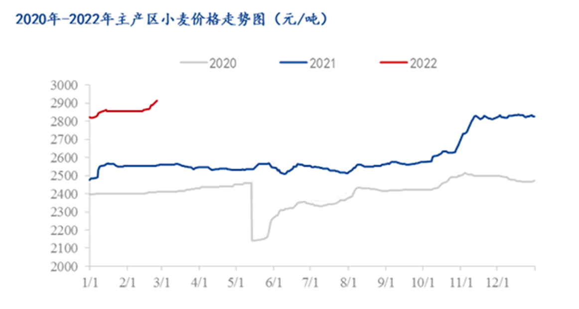 梦想之光辉