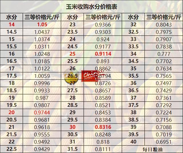 最新金玉米市场行情