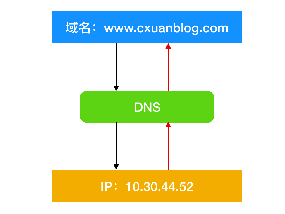 p站DNS更新信息