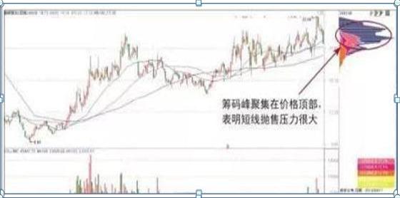 新研股份最新资讯速递