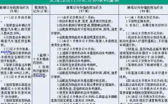 全面升级版：最新交通驾驶法规解析