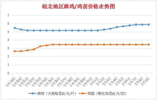 皖北麻鸡市场最新动态及价格走势一览