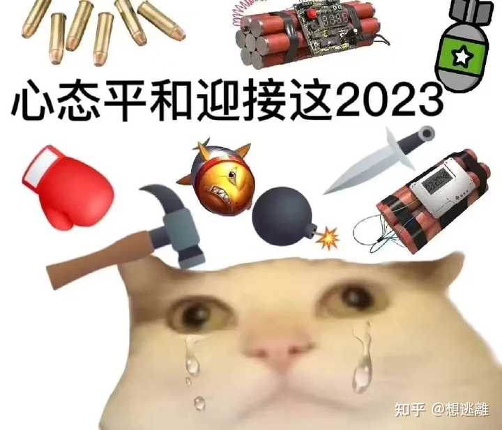 2025年度爆款表情包大盘点：年度必看潮流表情包合集