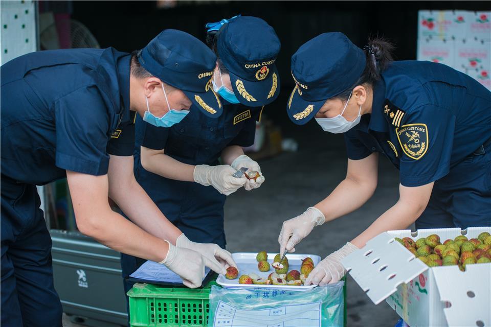 天津东岸名郡近期房价一览，精彩优惠不容错过